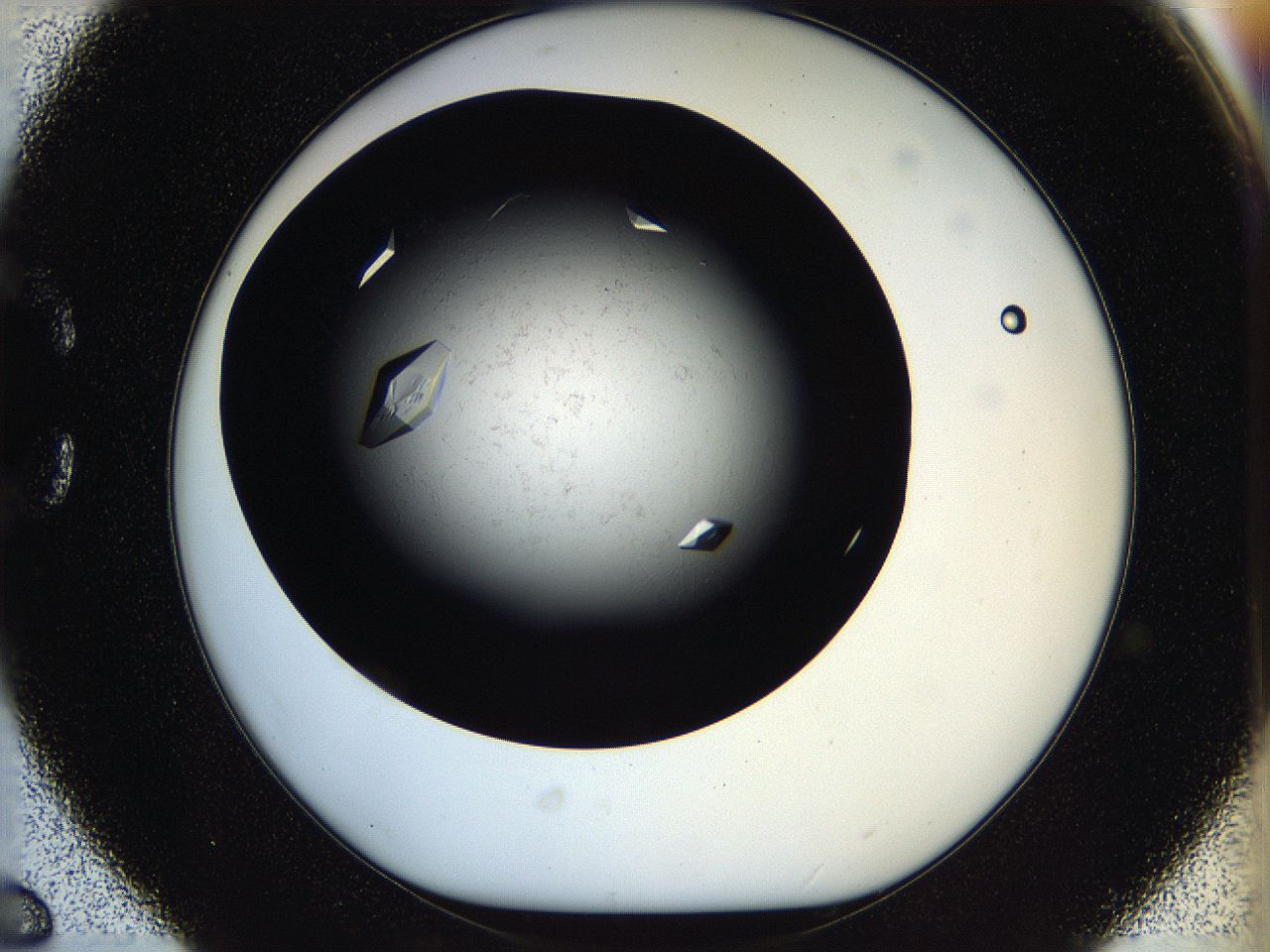 05ov_C6_ImagerDefaults_9.jpg