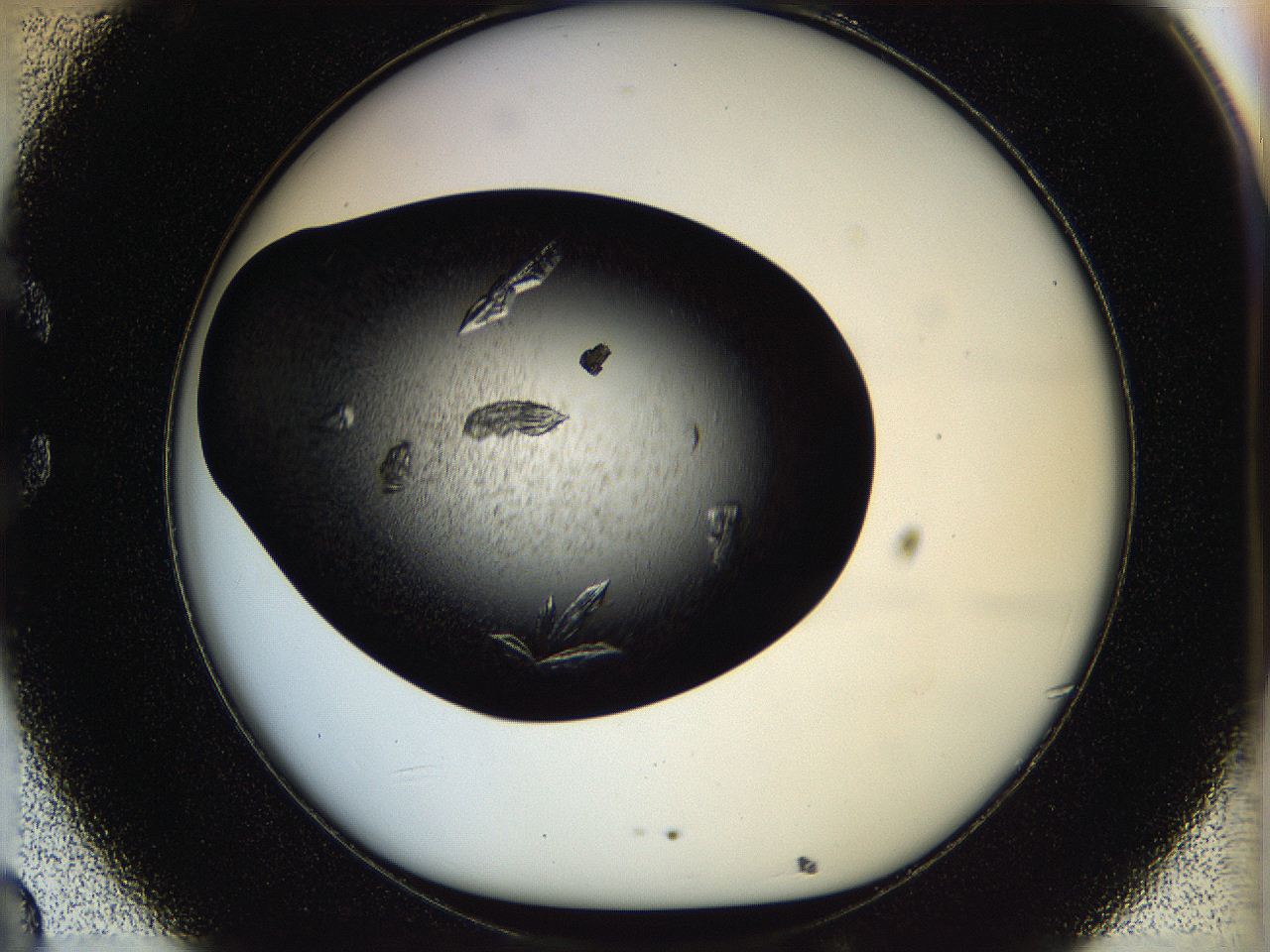 05ov_C8_ImagerDefaults_8.jpg