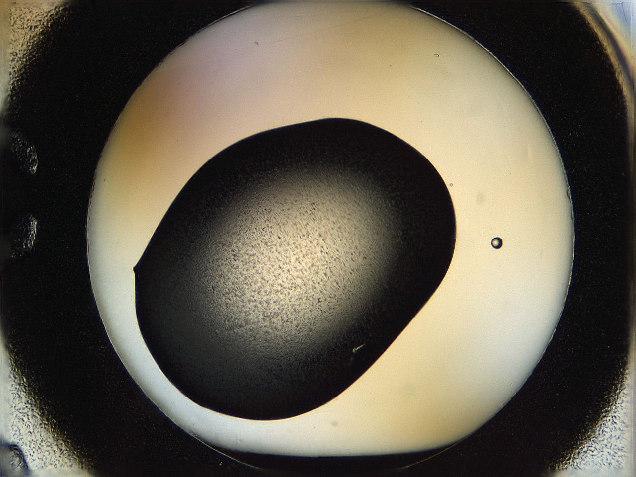 05ov_C2_ImagerDefaults_9.jpg