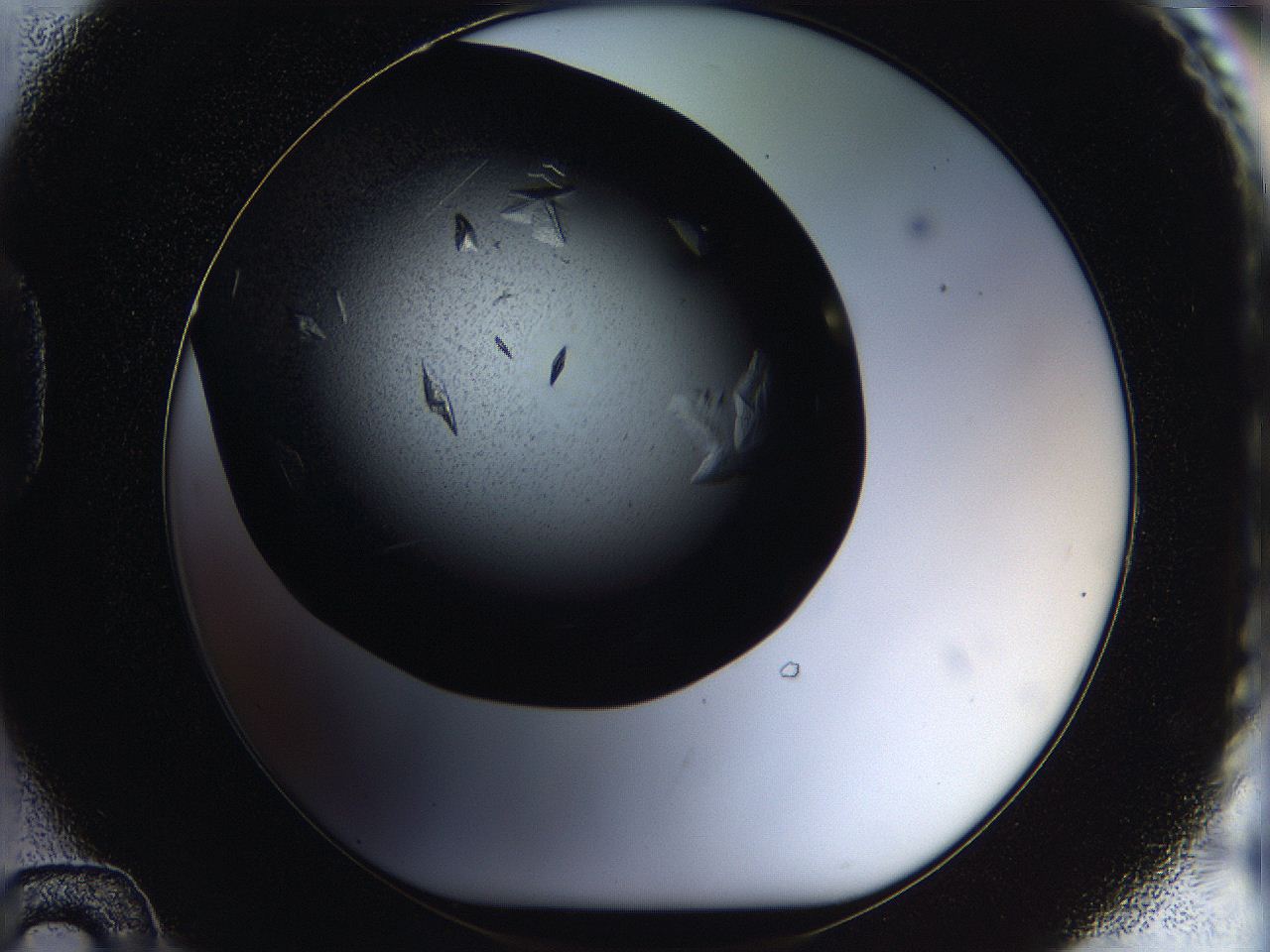 05ov_D12_ImagerDefaults_8.jpg