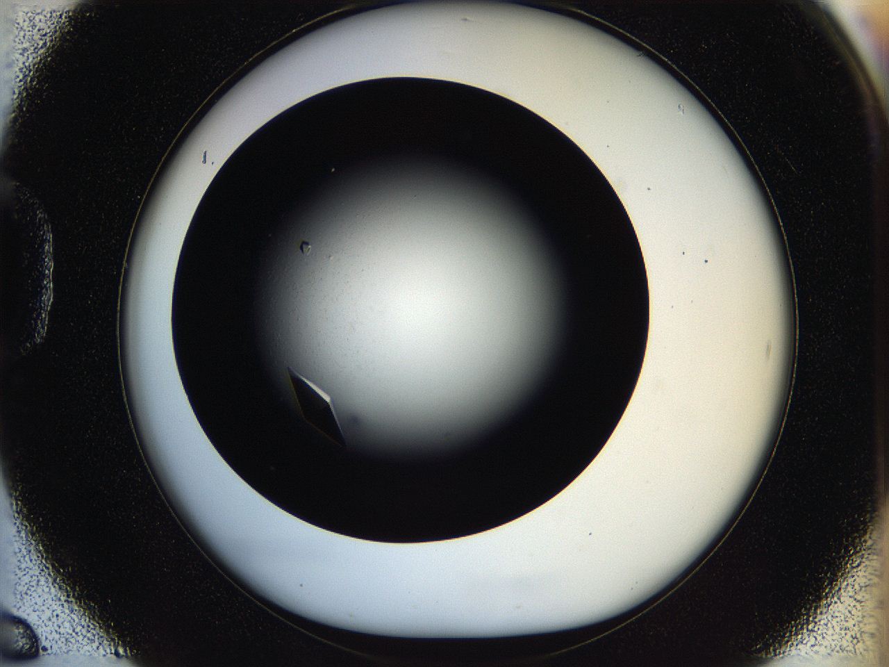 05ov_D6_ImagerDefaults_9.jpg