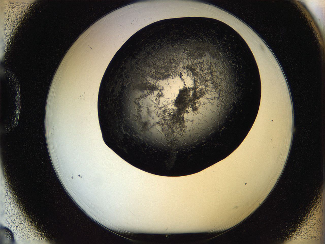 05ov_D3_ImagerDefaults_6.jpg