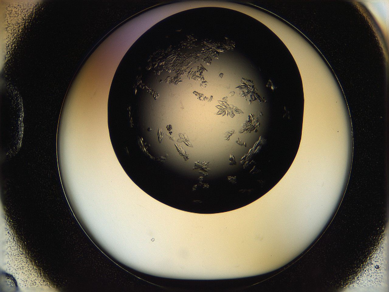 05ov_D2_ImagerDefaults_6.jpg