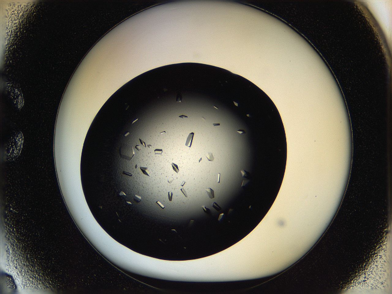 05ov_C3_ImagerDefaults_9.jpg