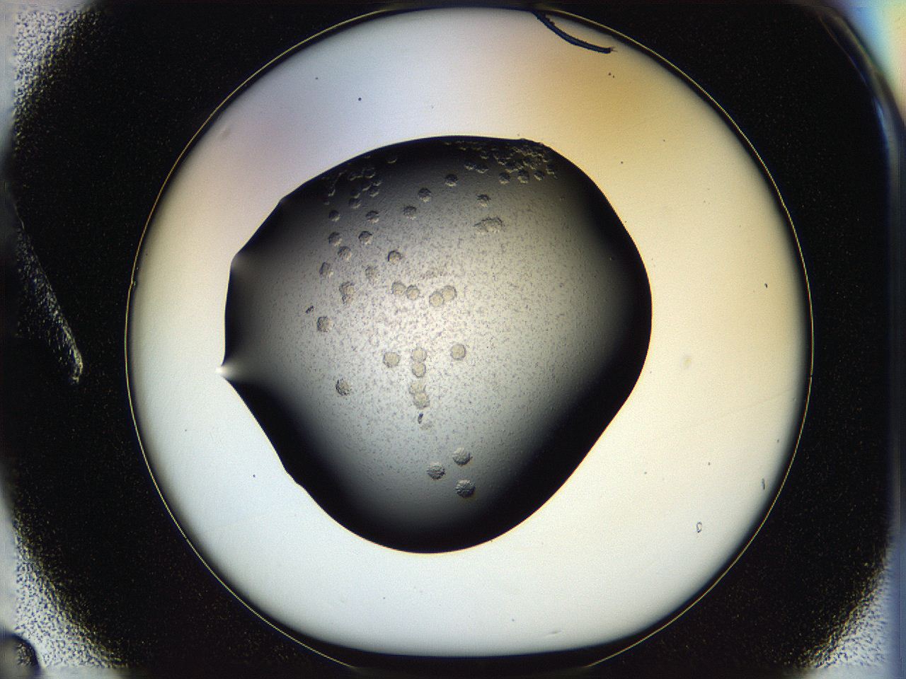 05ov_A3_ImagerDefaults_6.jpg