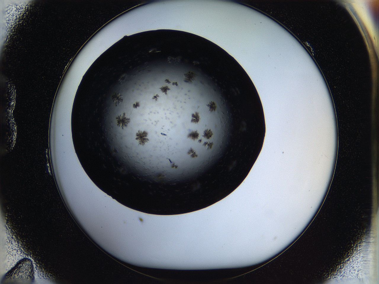 05ow_B11_ImagerDefaults_8.jpg