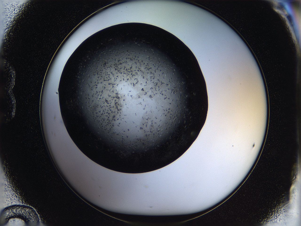 05ow_B12_ImagerDefaults_6.jpg