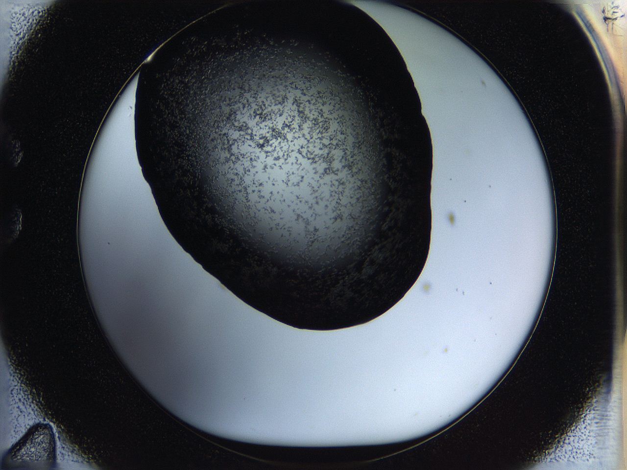 05ow_C11_ImagerDefaults_6.jpg