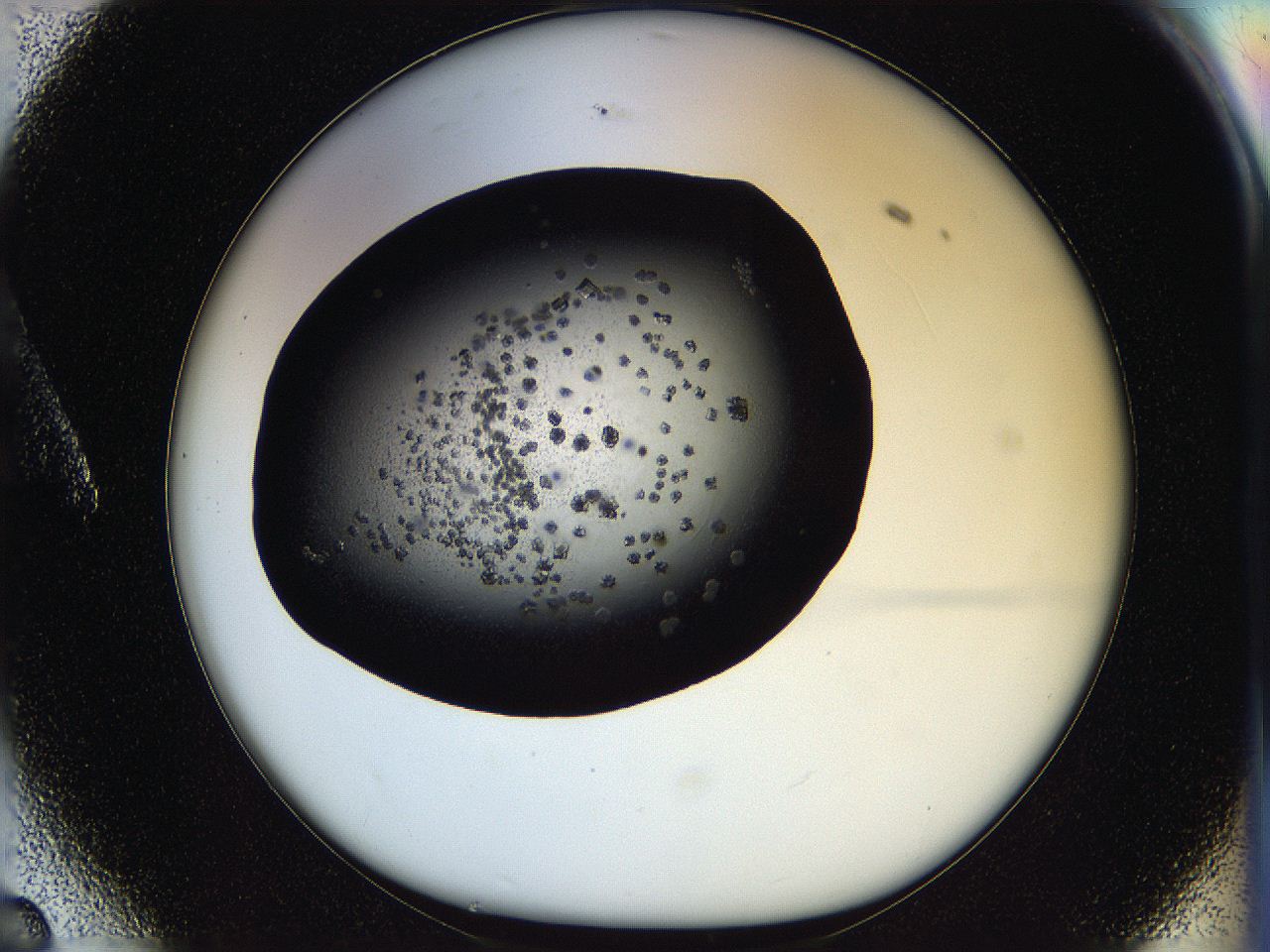 05ox_A6_ImagerDefaults_6.jpg