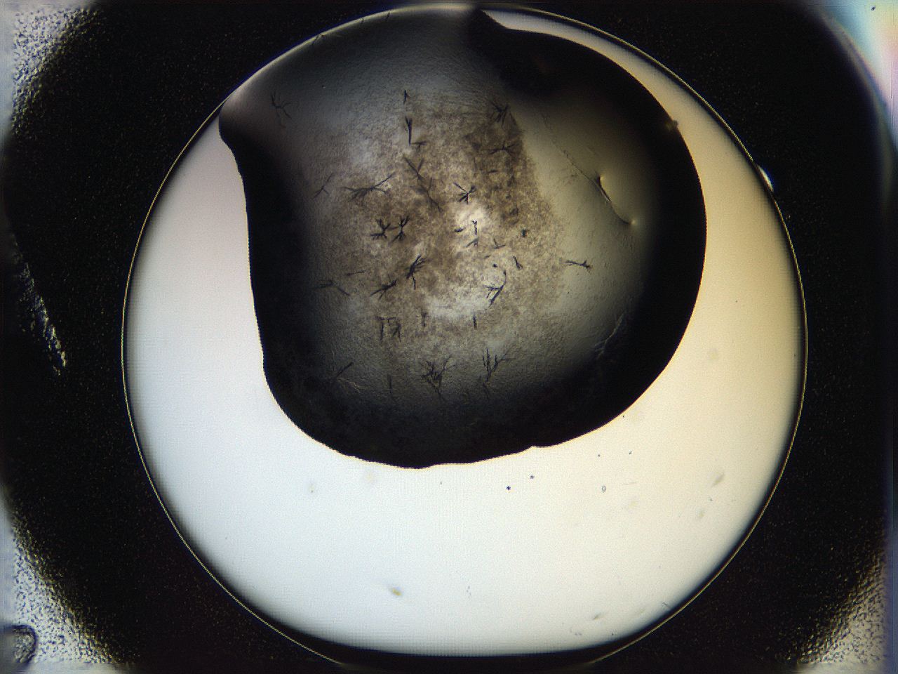 05ox_A7_ImagerDefaults_6.jpg
