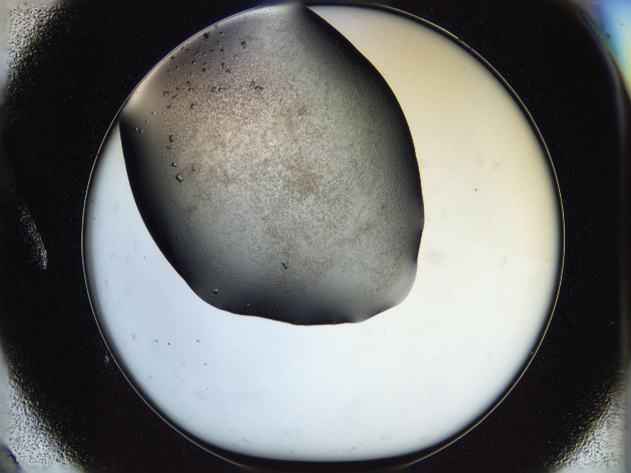 05ox_A9_ImagerDefaults_6.jpg