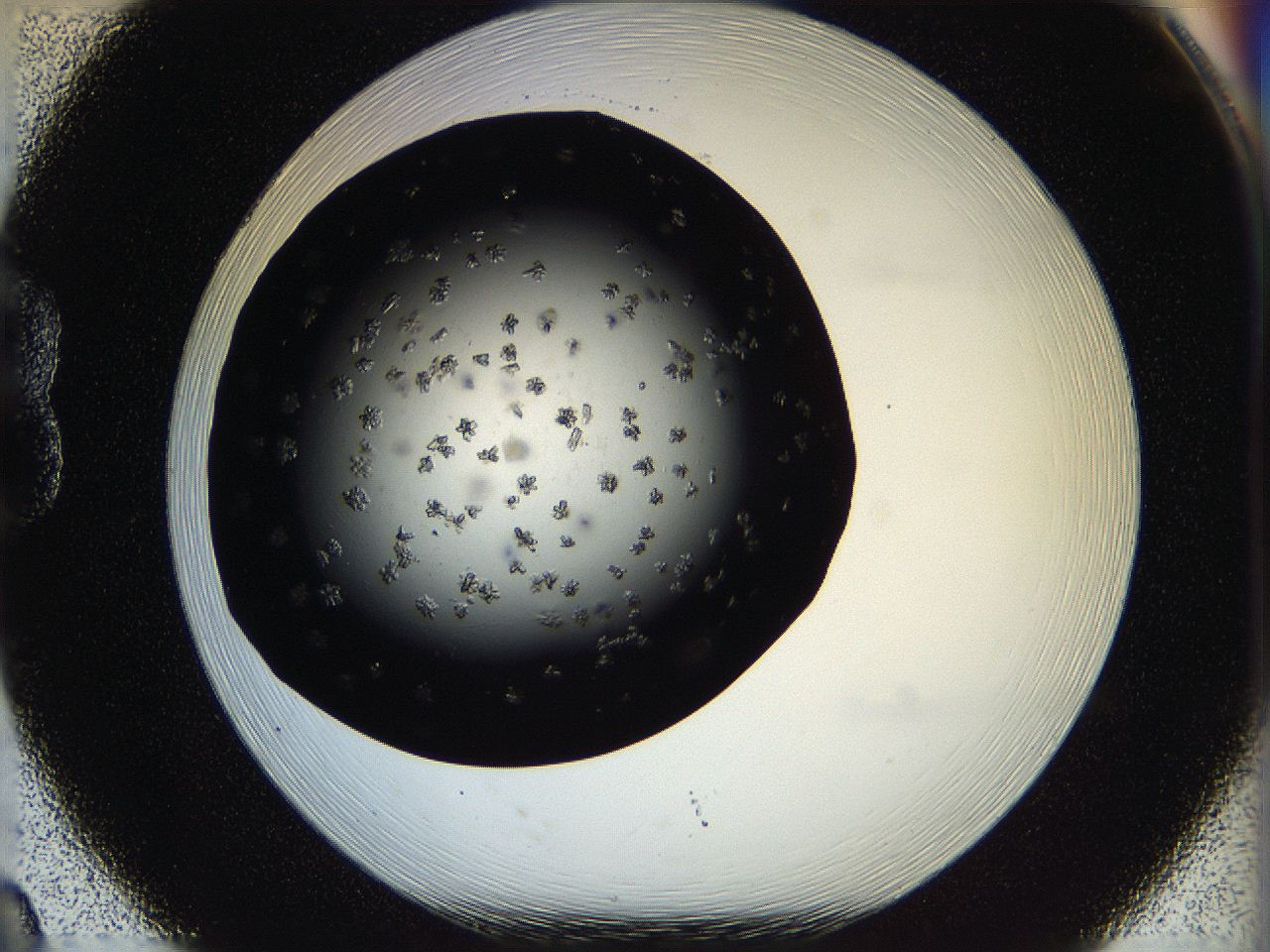 05ox_B8_ImagerDefaults_6.jpg