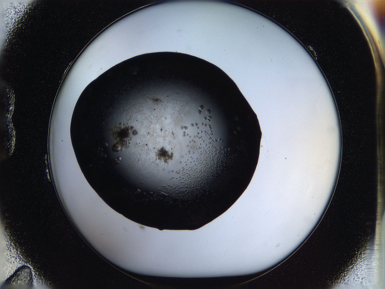 05ox_B11_ImagerDefaults_8.jpg