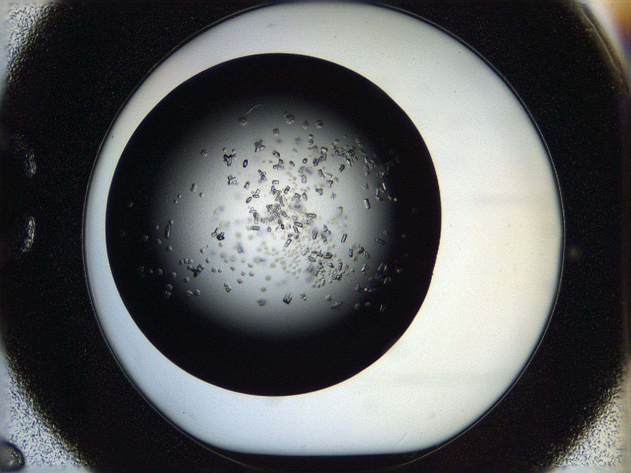 05ox_C6_ImagerDefaults_7.jpg