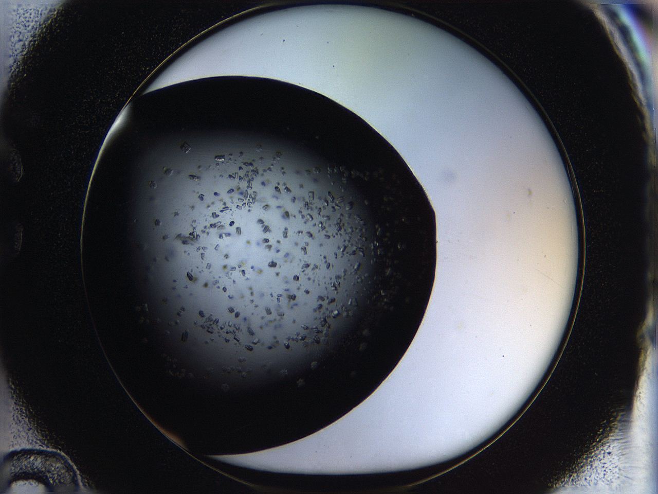 05ox_C12_ImagerDefaults_7.jpg