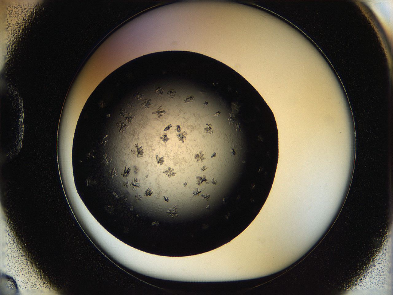 05ox_D2_ImagerDefaults_6.jpg