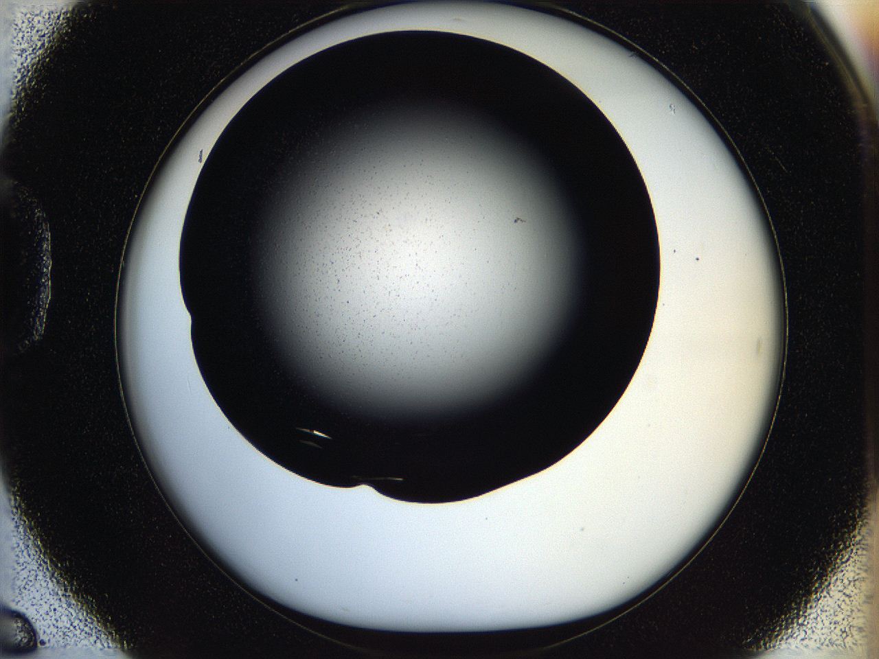 05ox_D6_ImagerDefaults_9.jpg