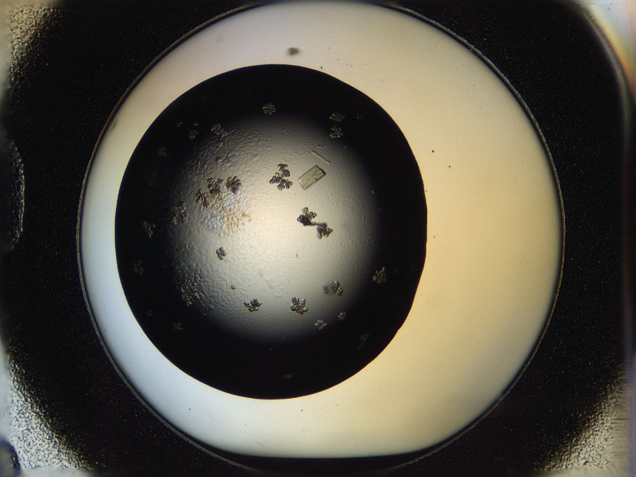 05ox_D8_ImagerDefaults_8.jpg