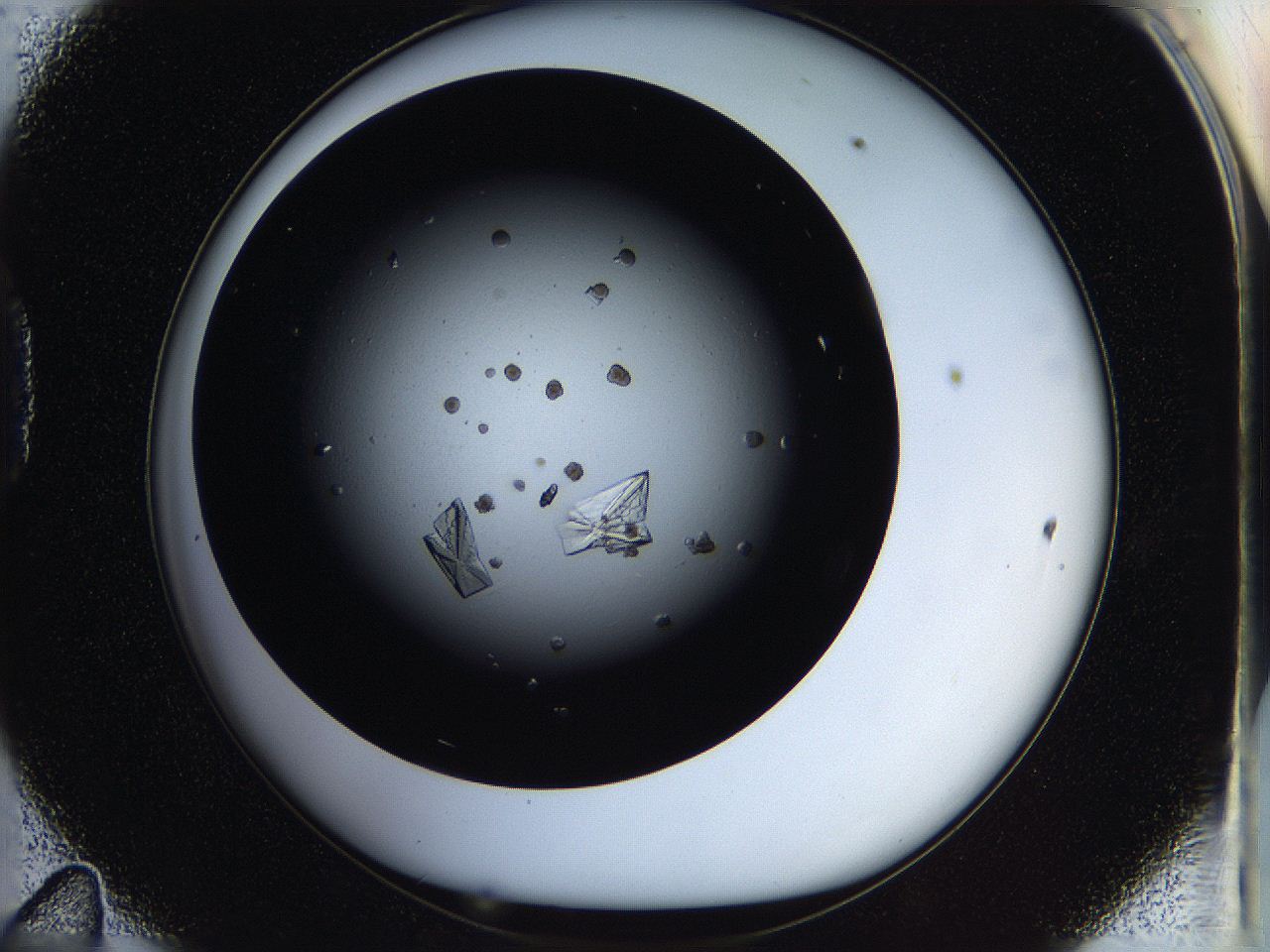 05ox_D11_ImagerDefaults_9.jpg