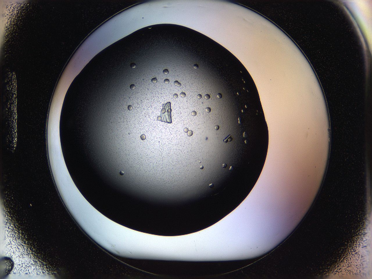 05ox_H7_ImagerDefaults_9.jpg