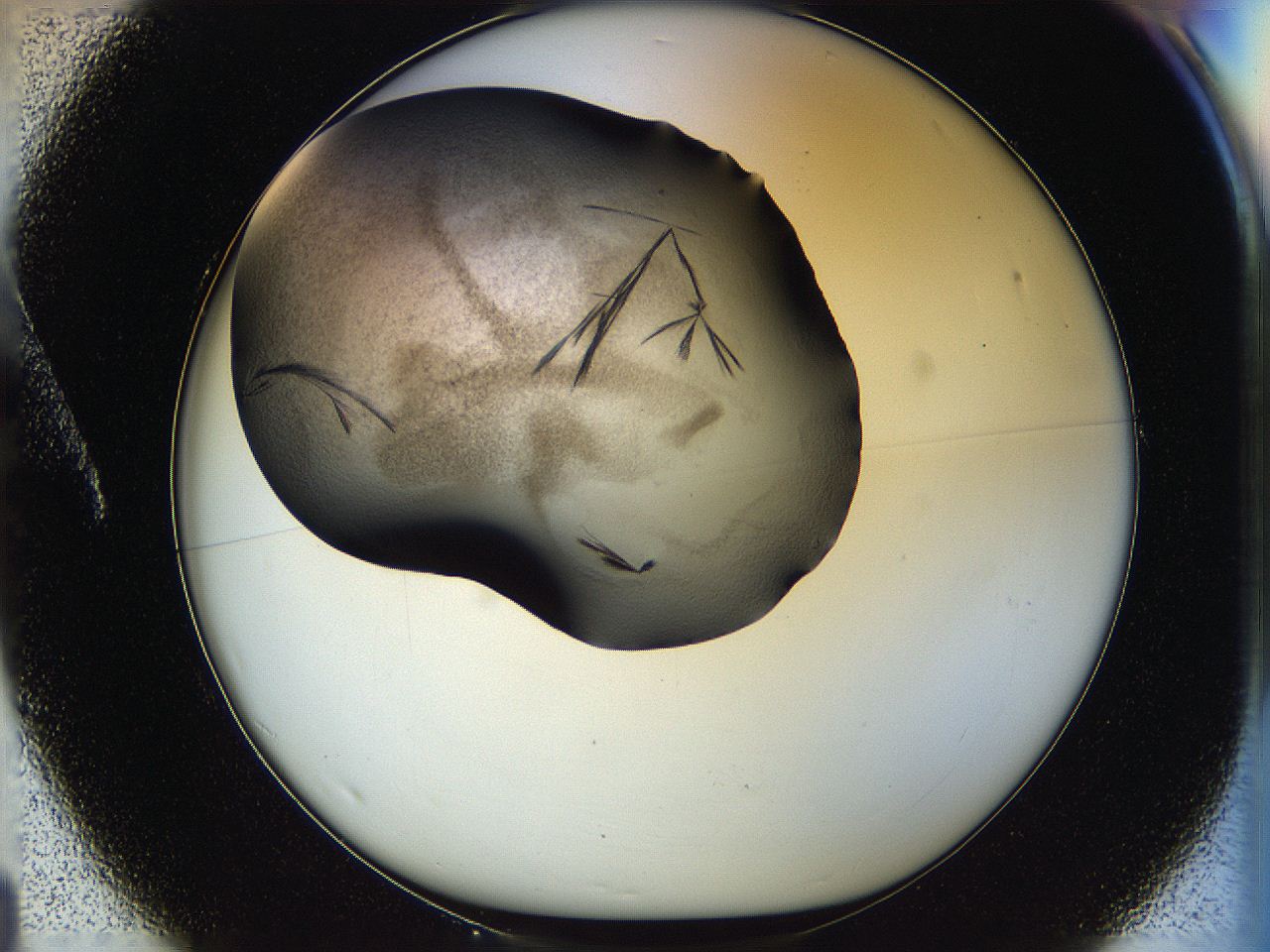 05ox_A1_ImagerDefaults_6.jpg