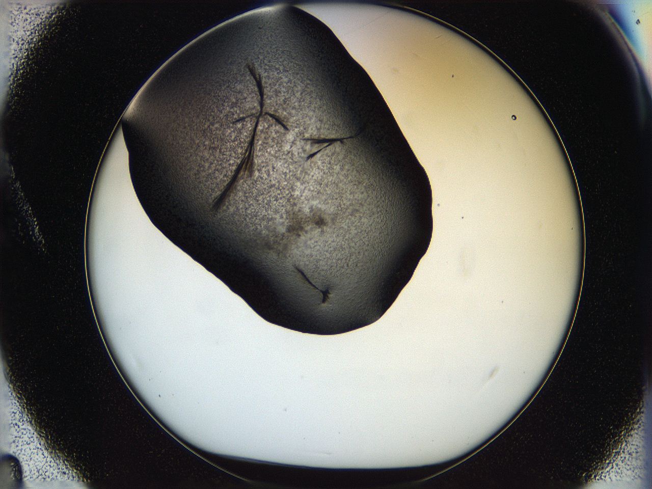 05ox_A4_ImagerDefaults_6.jpg