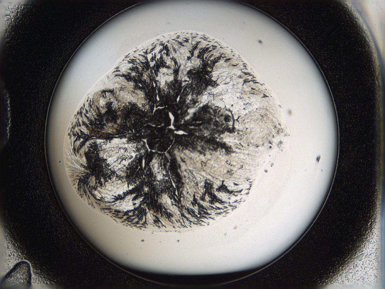 05p6_D11_ImagerDefaults_9.jpg