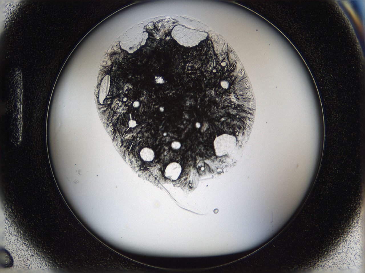 05p6_H6_ImagerDefaults_9.jpg