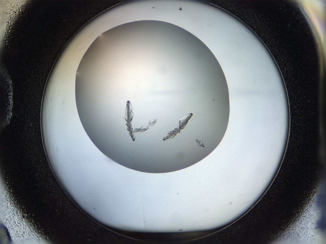 05p6_D9_ImagerDefaults_9.jpg