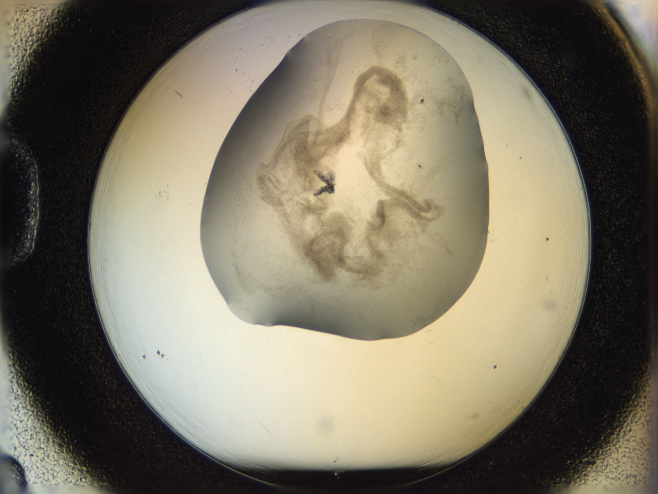 05p6_D3_ImagerDefaults_7.jpg