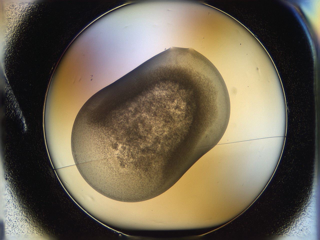 05p8_A1_ImagerDefaults_3.jpg