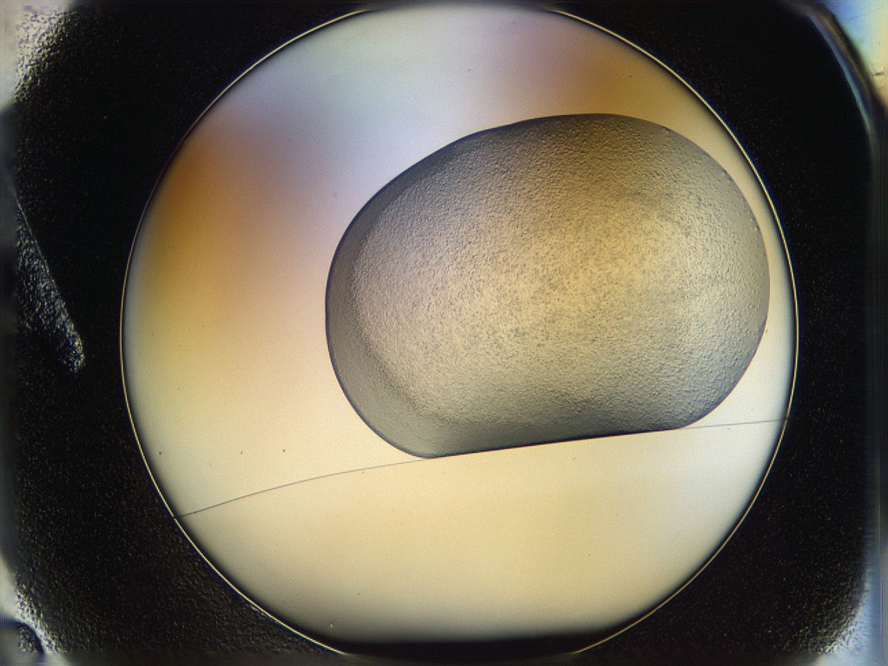 05p8_A2_ImagerDefaults_2.jpg