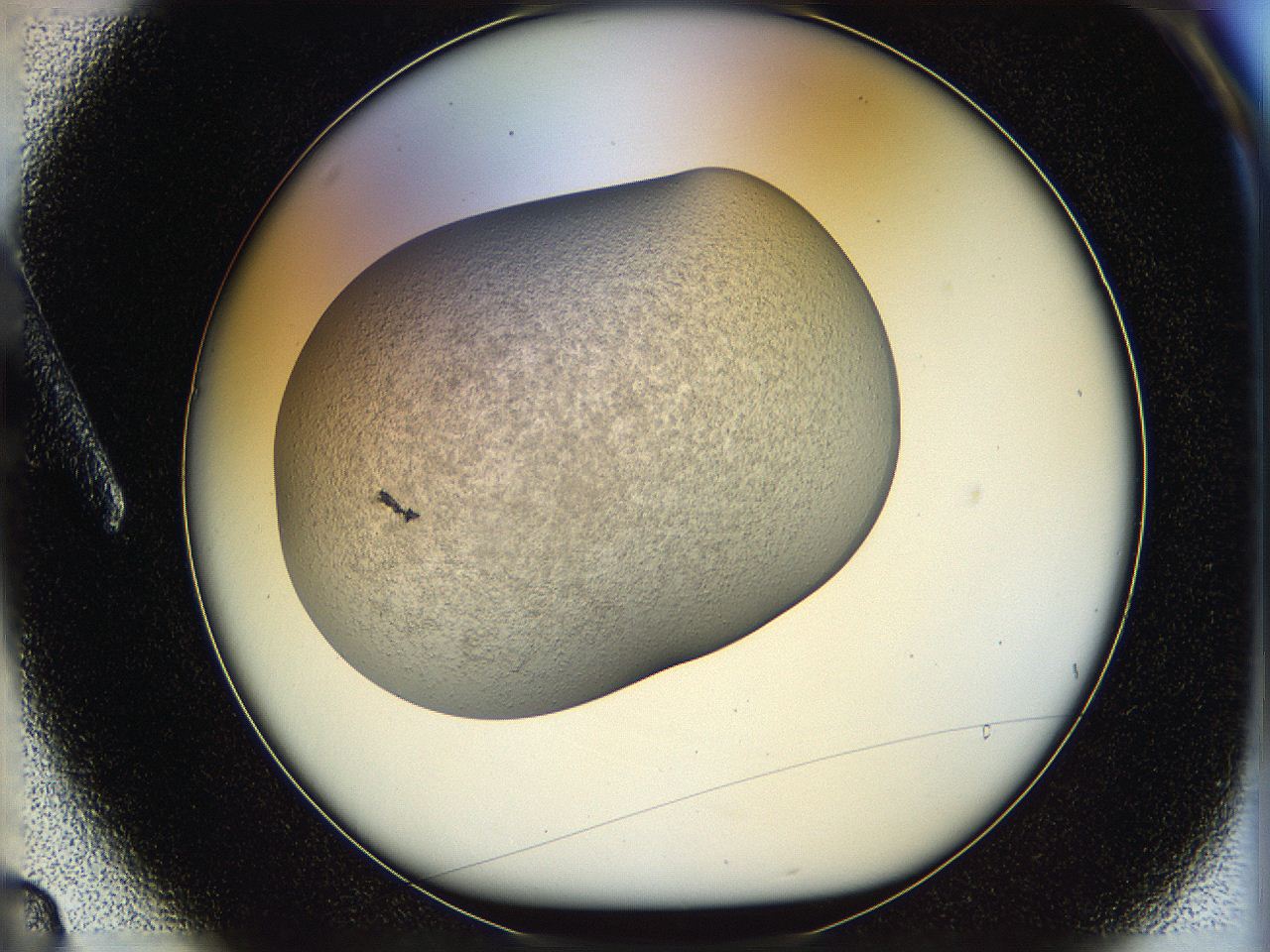 05p8_A3_ImagerDefaults_3.jpg