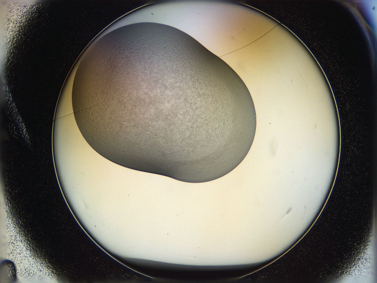 05p8_A4_ImagerDefaults_3.jpg