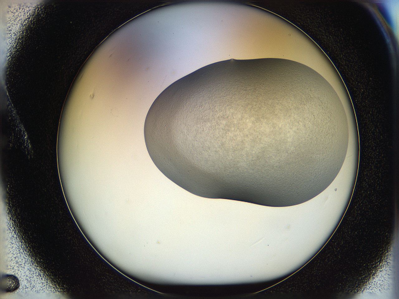05p8_A5_ImagerDefaults_3.jpg
