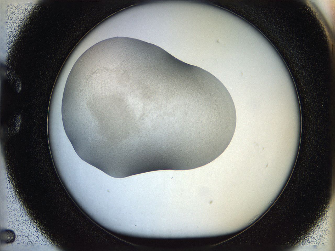05p8_C5_ImagerDefaults_3.jpg