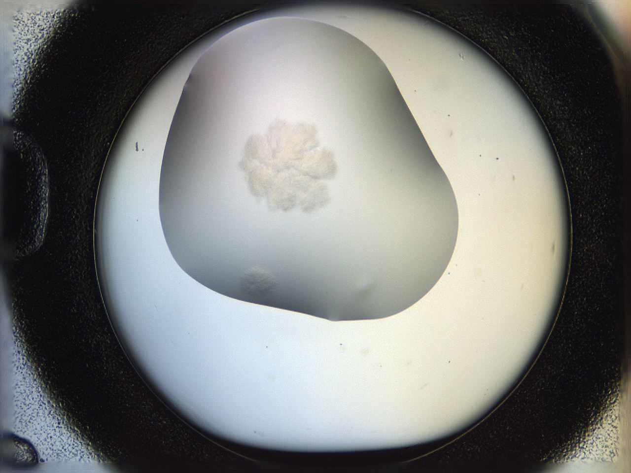 05p8_D6_ImagerDefaults_3.jpg