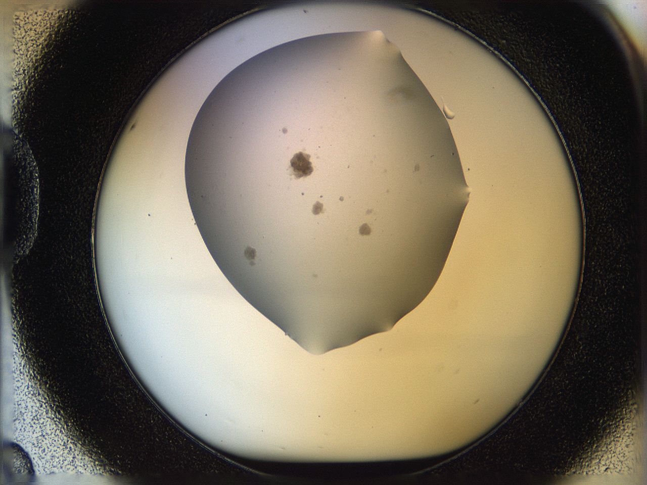 05p8_D8_ImagerDefaults_3.jpg