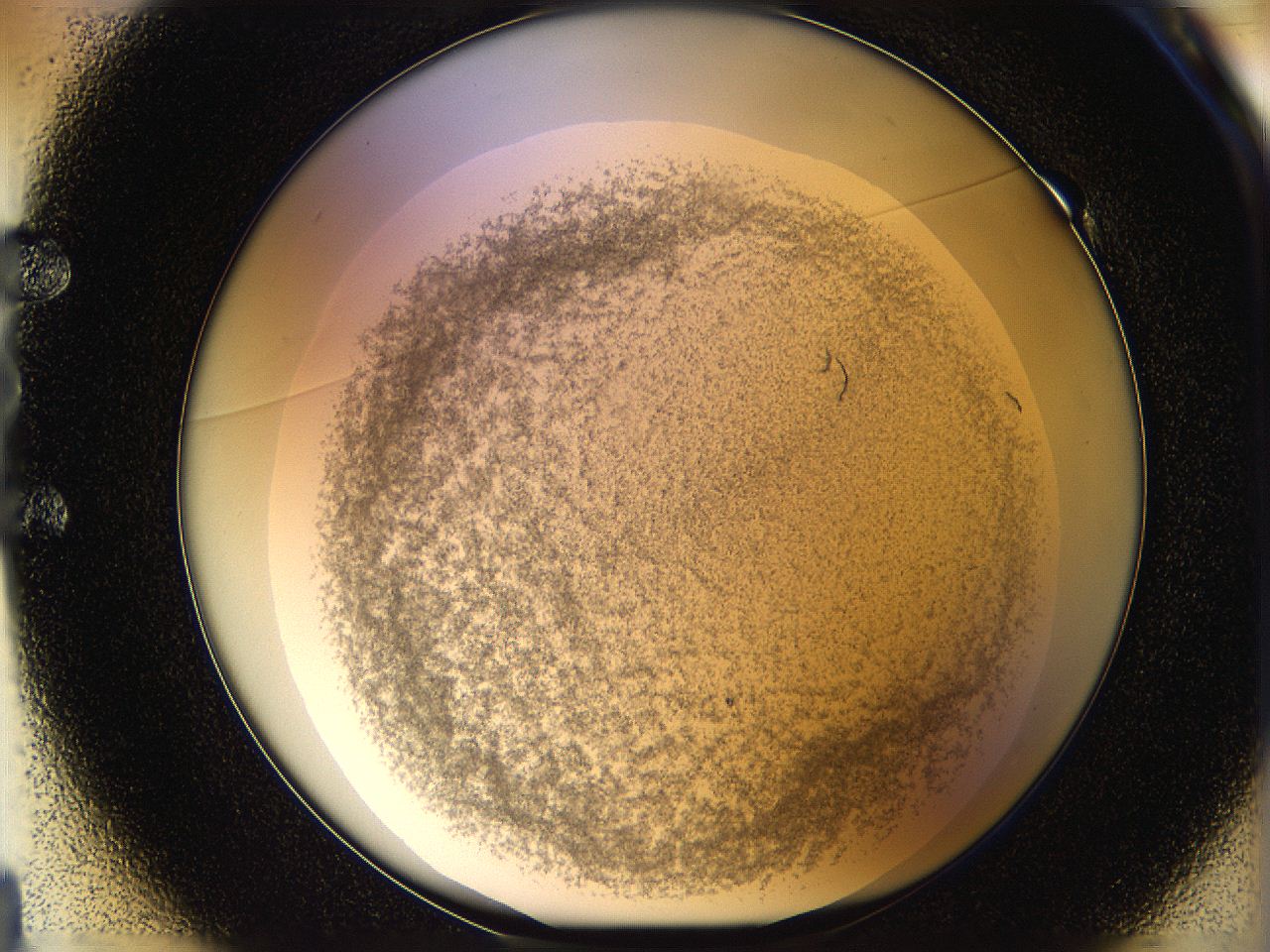 05p8_E1_ImagerDefaults_3.jpg