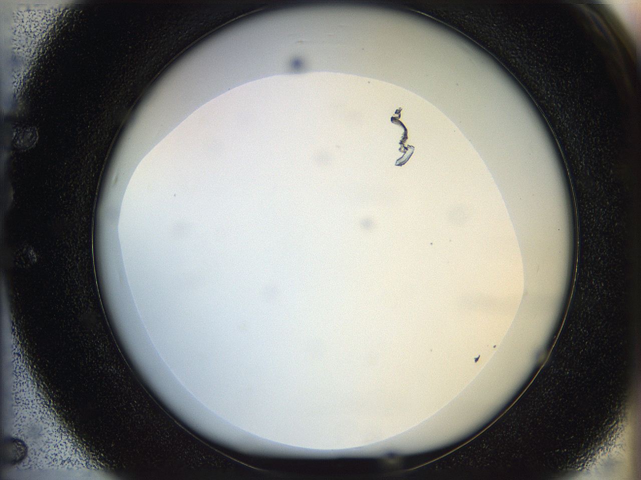 05p8_E5_ImagerDefaults_0.jpg
