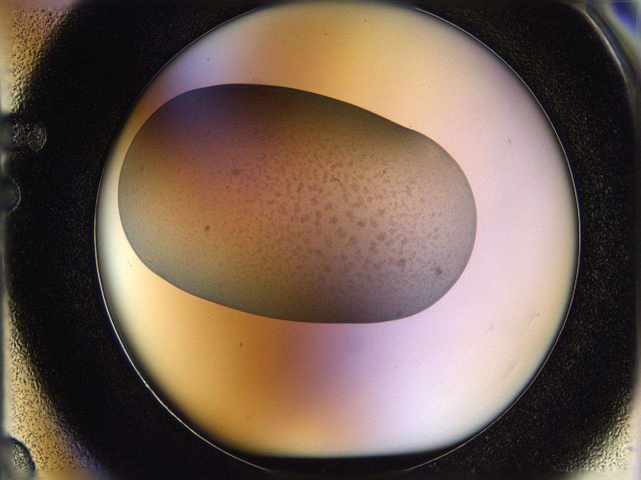 05p8_F3_ImagerDefaults_2.jpg
