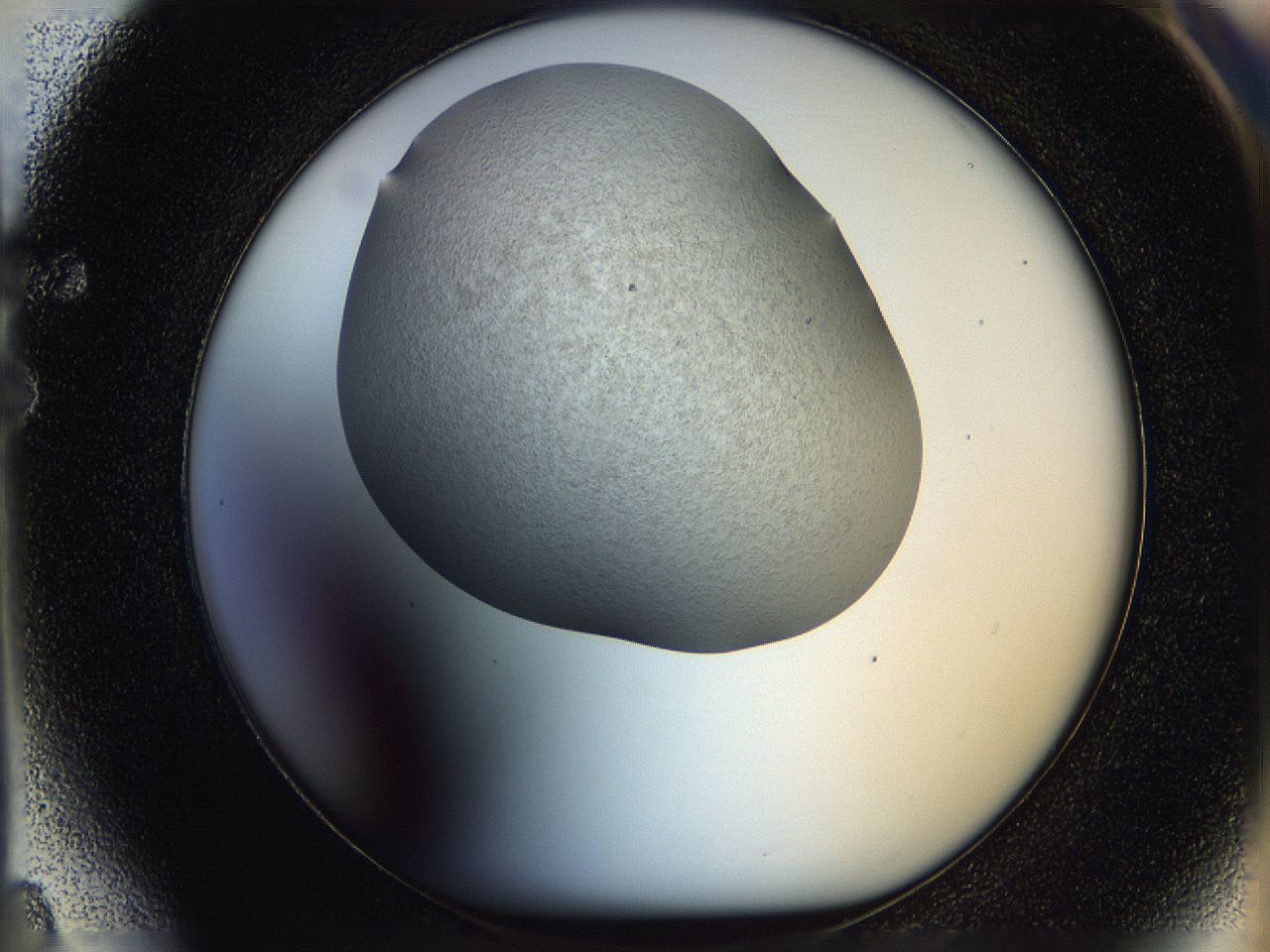 05p8_F4_ImagerDefaults_2.jpg