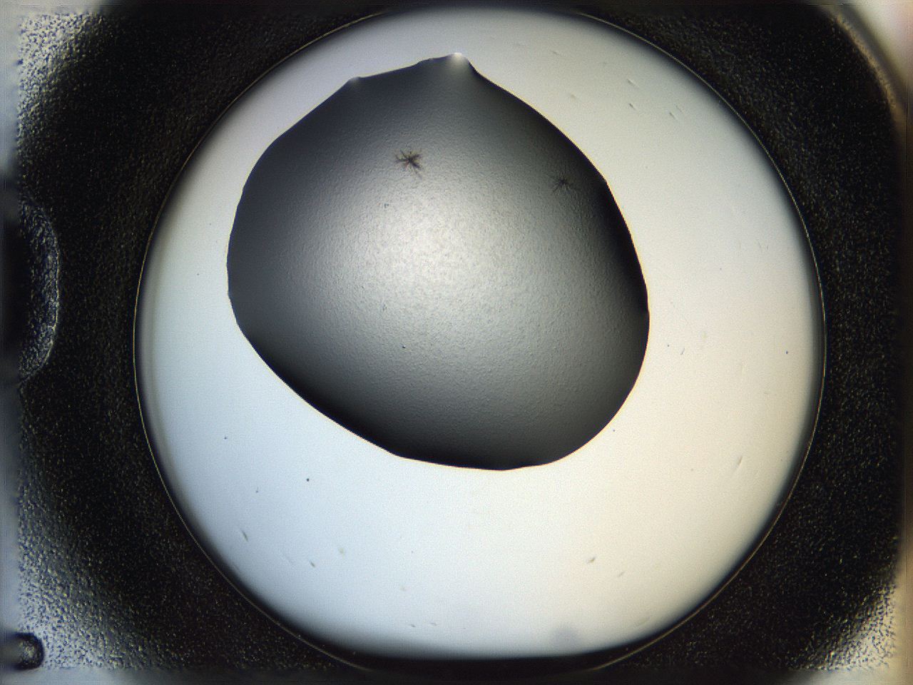 05po_D5_ImagerDefaults_6.jpg