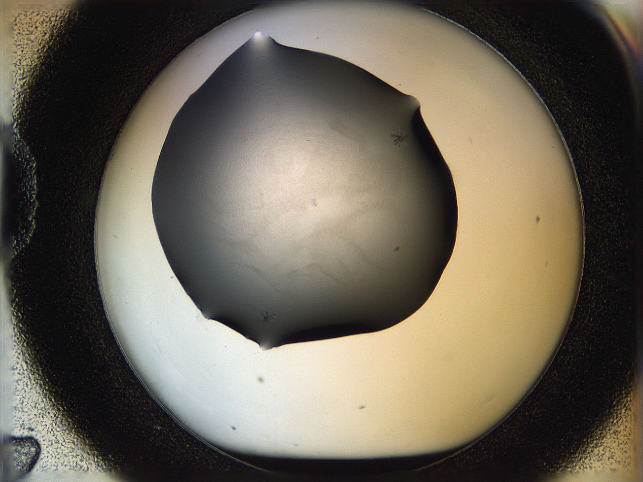 05po_D7_ImagerDefaults_6.jpg