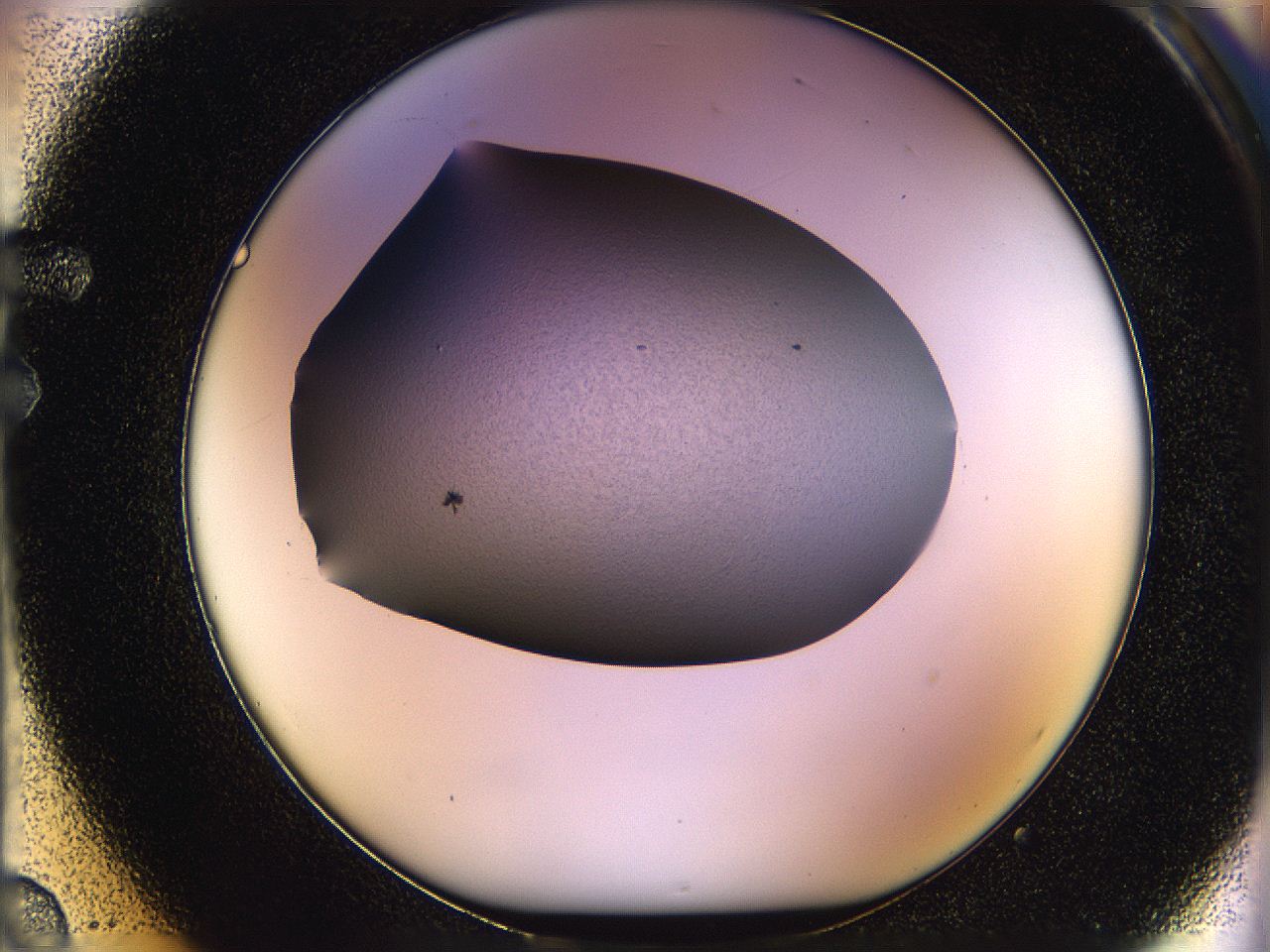 05po_F2_ImagerDefaults_6.jpg