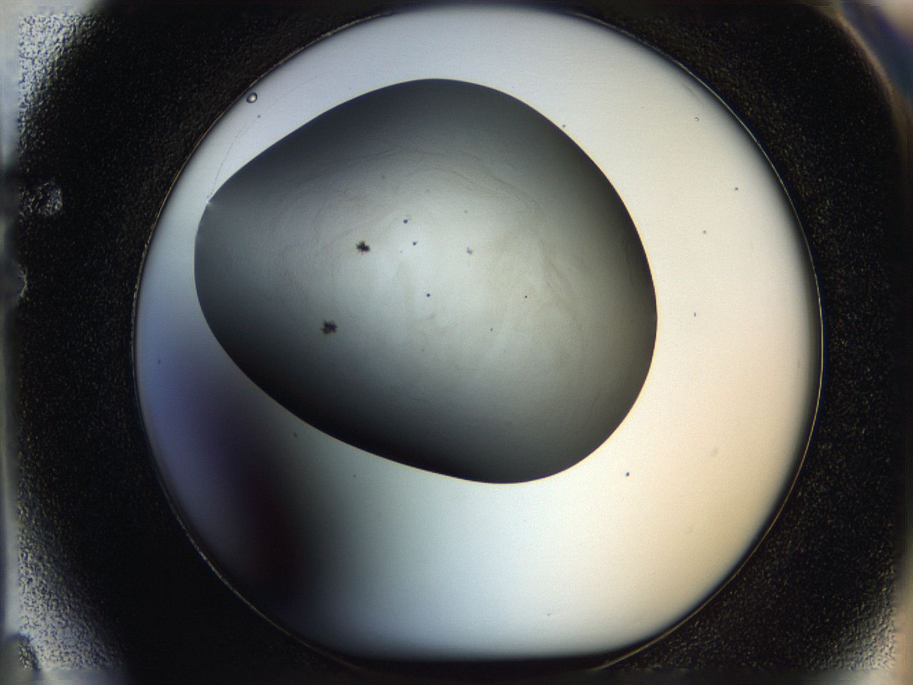 05po_F4_ImagerDefaults_6.jpg