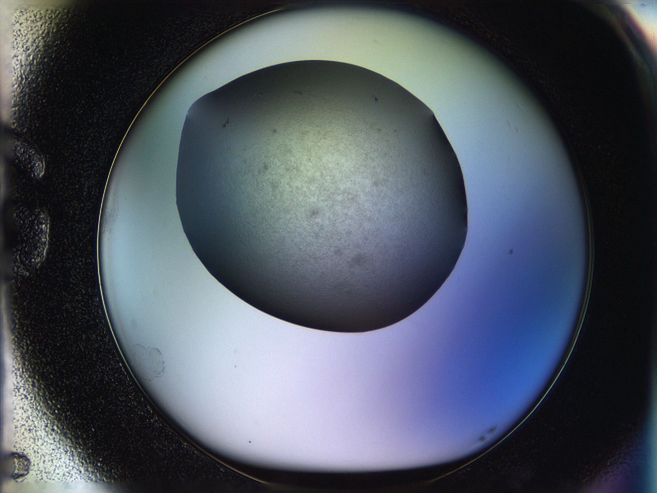 05po_G5_ImagerDefaults_6.jpg