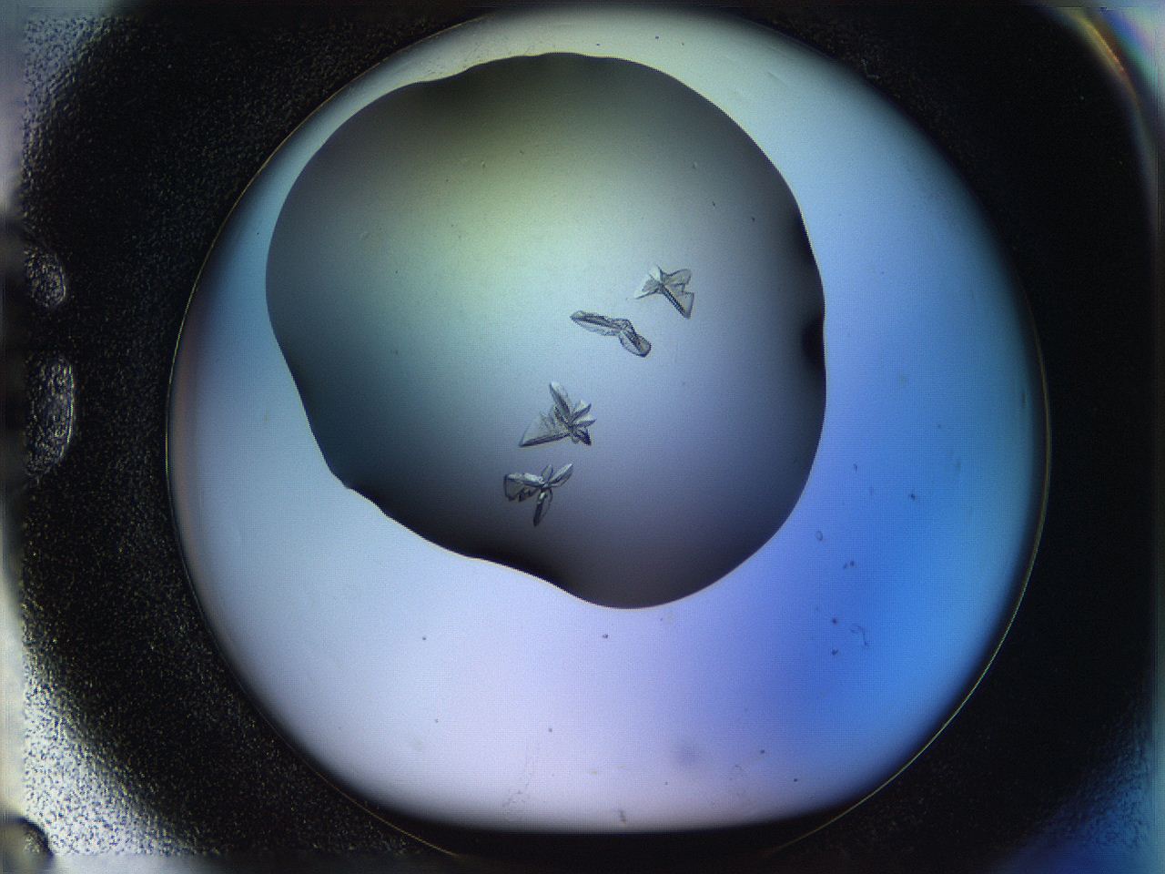 05po_G8_ImagerDefaults_9.jpg