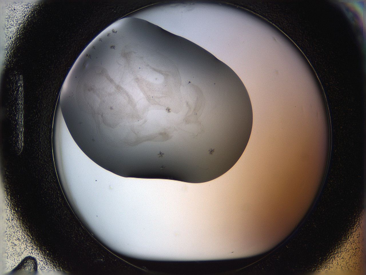 05po_H11_ImagerDefaults_6.jpg