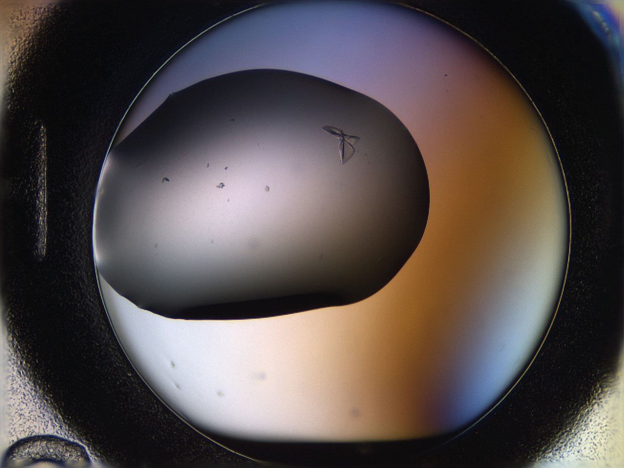 05po_H12_ImagerDefaults_9.jpg